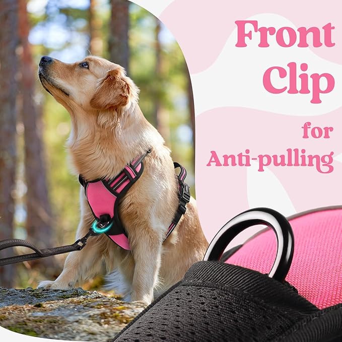 rabbitgoo Dog Harness Medium Sized, No Pull Pet Harness - Image 7