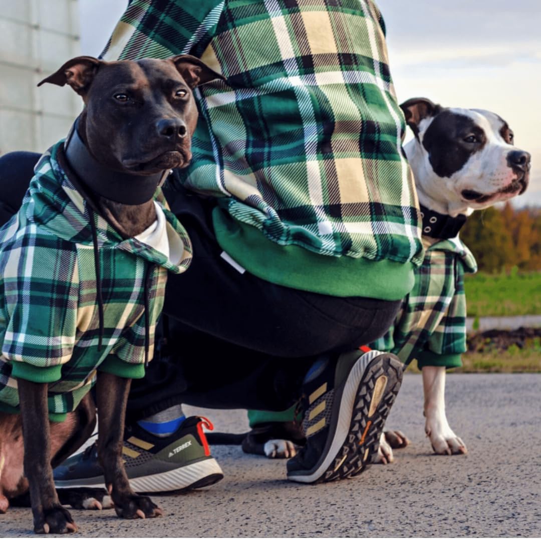 Spark Paws Dog Hoodie – Premium Dog Sweater for Small, Medium, and Large Dogs | Warm Outfits for French Bulldogs, Pitbull, Puppy, Winter Jacket Alternative - Green Plaid - S