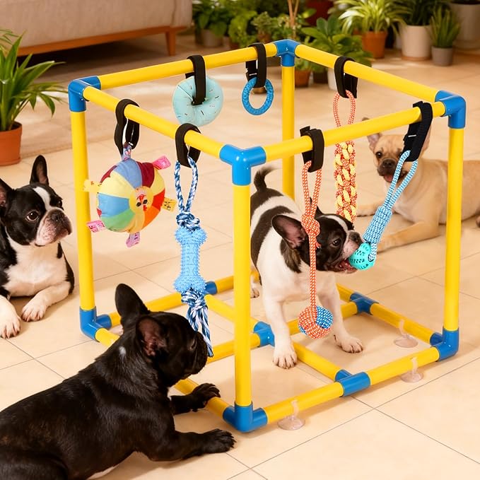 WLLEYAY Puppy Play Gym for Small Dogs - Image 6