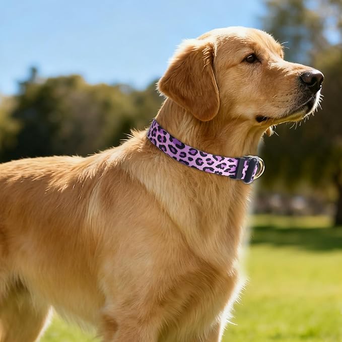 QQPETS Adjustable Soft Dog Collar: Print Flower Pink Multicolor Cute Patterns - Image 2