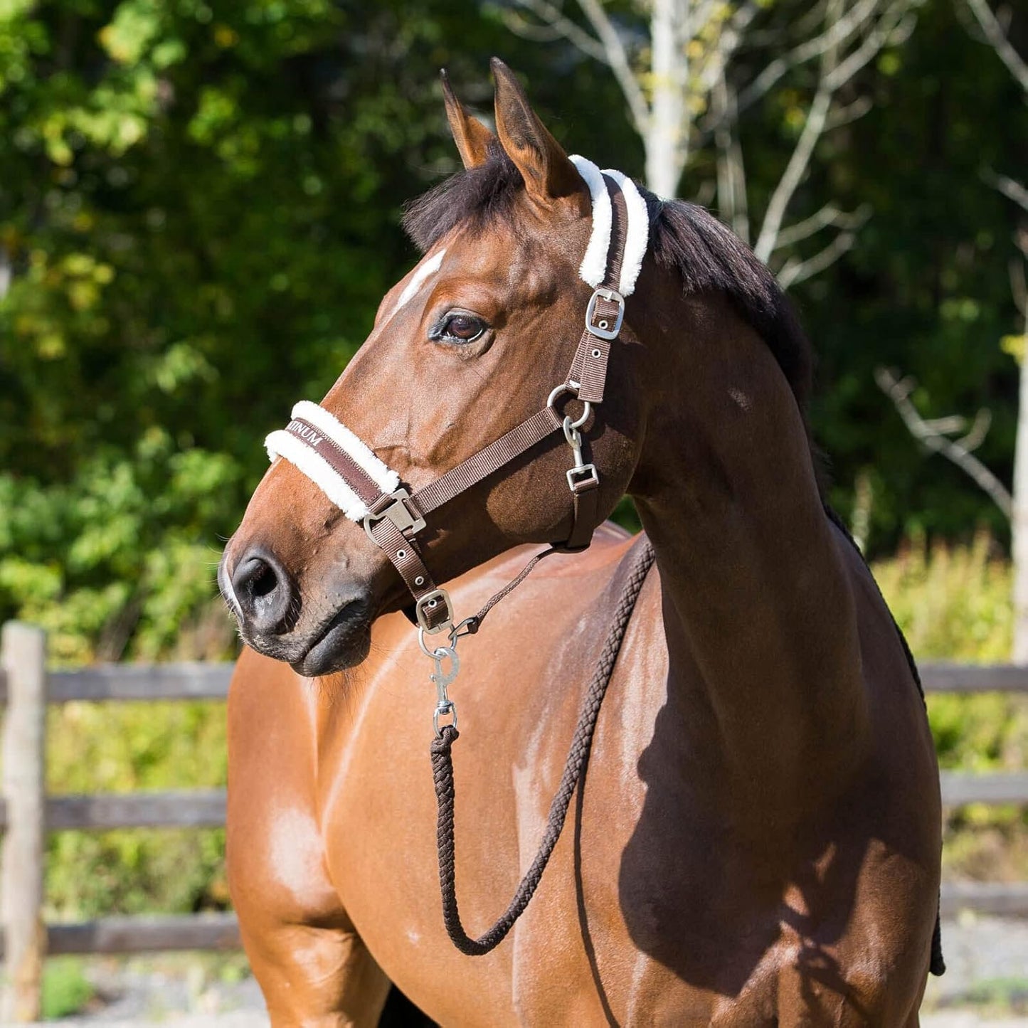HORZE Howard Padded Fleece Comfortable Adjustable Polyester Horse Halter - Dark Brown - Warmblood