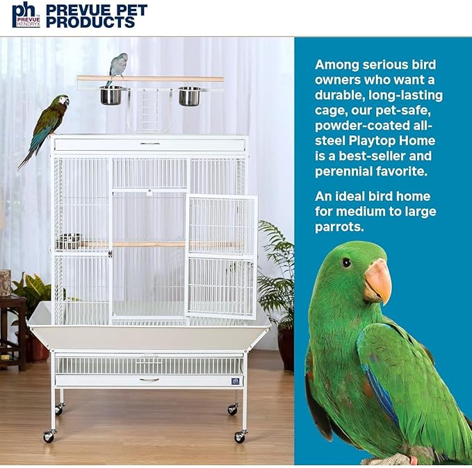 Prevue Pet Products Wrought Iron Select Bird Cage 3154C, Chalk White, 36-Inch - Image 2