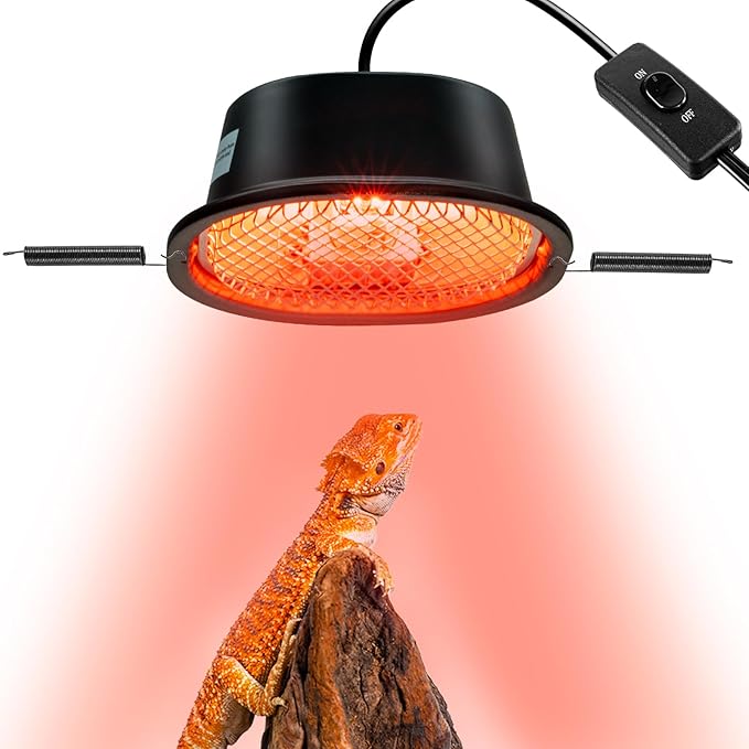 G9 Reptile Infrared Heat Lamp, Terrarium Heating Lamp Fixture by CAVACHEWReptileSupplies