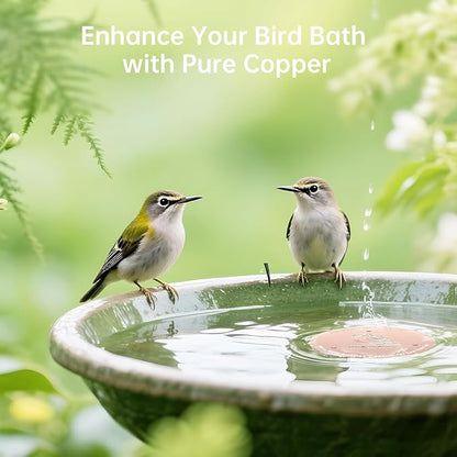 4 Pack Copper Disc for Bird Bath, Premium 0.6mm Sturdy 99.99% Pure Copper - Image 5
