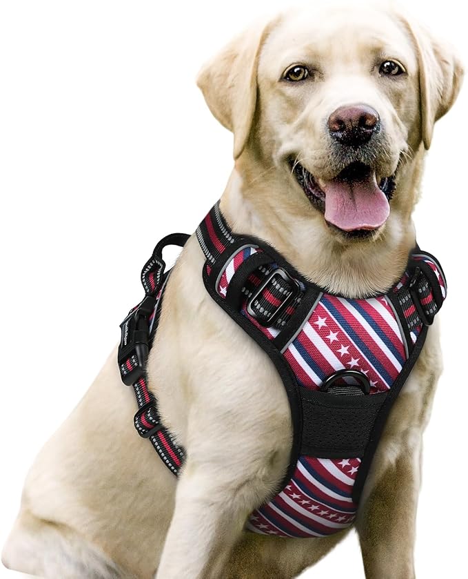 rabbitgoo Dog Harness No Pull by rabbitgoo