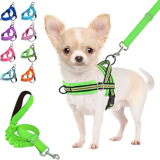Lukovee No Pull Dog Harness and Leash Set, Soft Padded Small Dog Harness by Lukovee