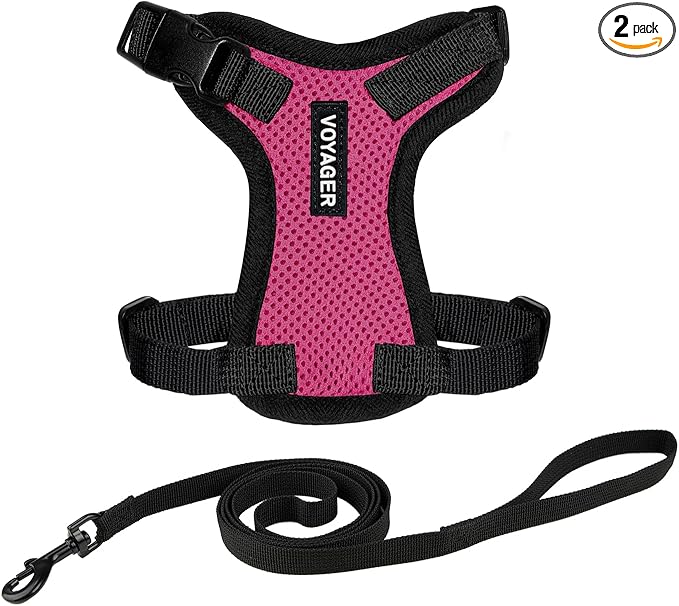 Voyager Escape-Proof Step-in Lock Cat Harness & 5ft Neoprene-Handle Leash Set by BestPetSuppliesLLC