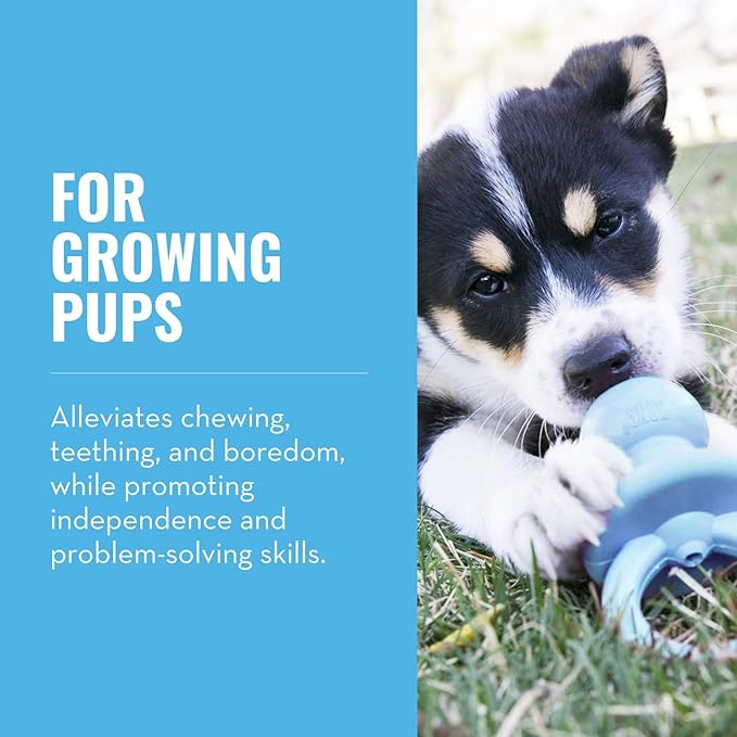 KONG Puppy Binkie - Image 2