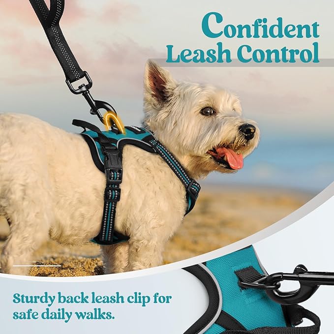 rabbitgoo Dog Harness No Pull - Image 6