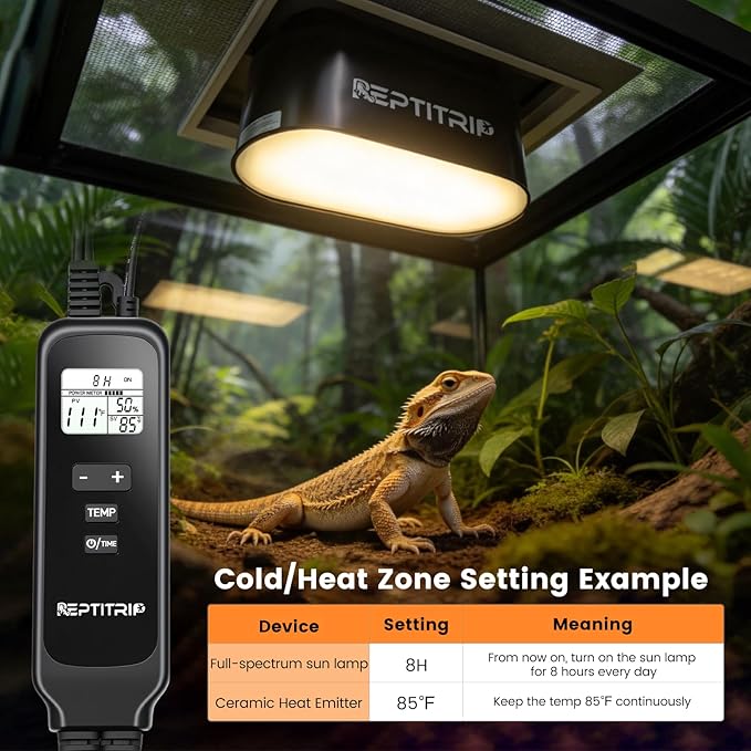 Dual Reptile Light Fixture - Image 3