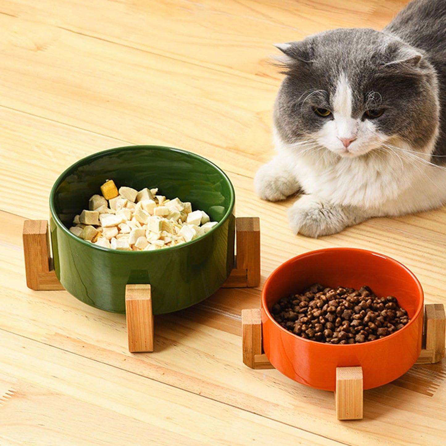 Petygooing Ceramic Cat Dog Bowl Set with Stand,Pet Food and Water Dishes,Medium Dog Bowls Anti -Slip Set of 2 Cat Dish Pet Food Bowls- Small Medium Size Pet (28OZ/6.1 in) Rust Red