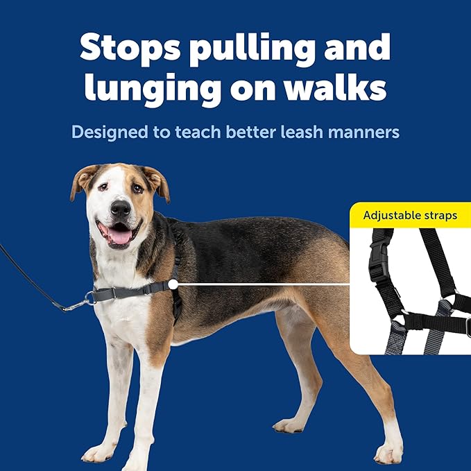 PetSafe Easy Walk No-Pull Dog Harness - Image 3