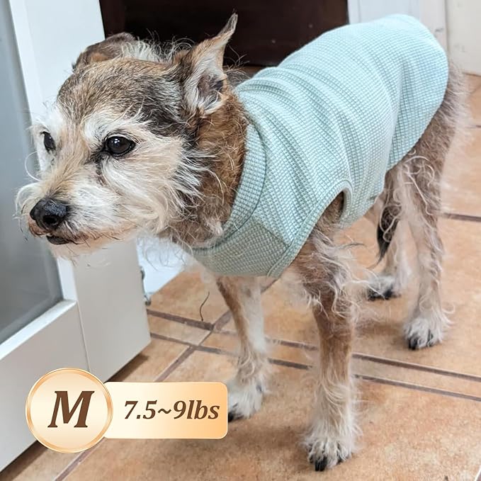 KYEESE 2Pack Dog Shirts Waffle for Small Dogs Stretchy T-Shirts Lightweight - Image 3