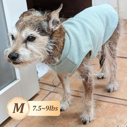 KYEESE 2Pack Dog Shirts Waffle for Small Dogs Stretchy T-Shirts Lightweight - Image 3