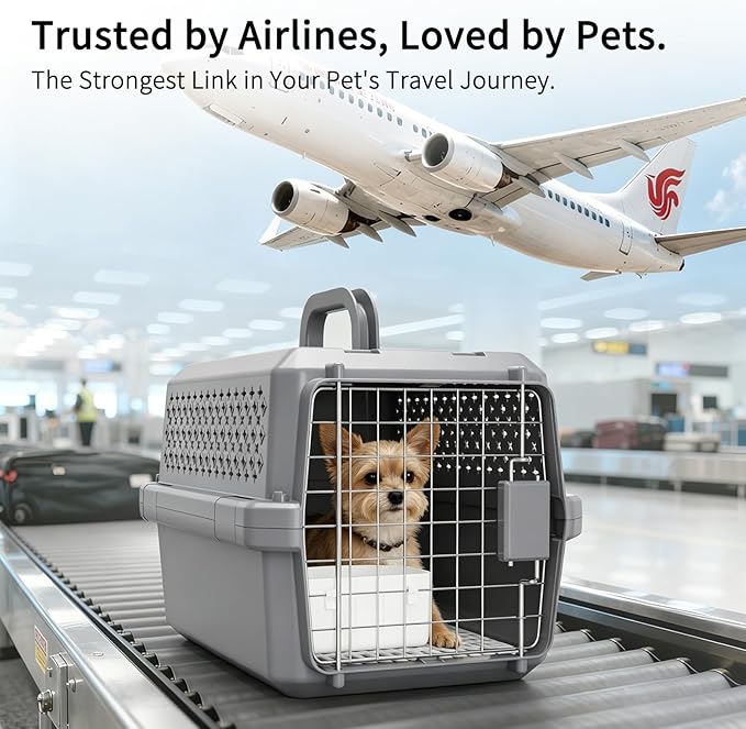 RIZZARI Grey Small Hard Sided Pet Carrier, Portable Ventilated Travel Crate - Image 3