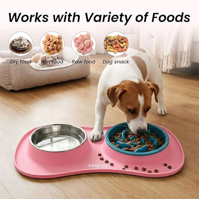 YINEYA 3 in 1 Slow Feeder Dog Bowls & Stainless Steel Food and Water Bowl - Image 6