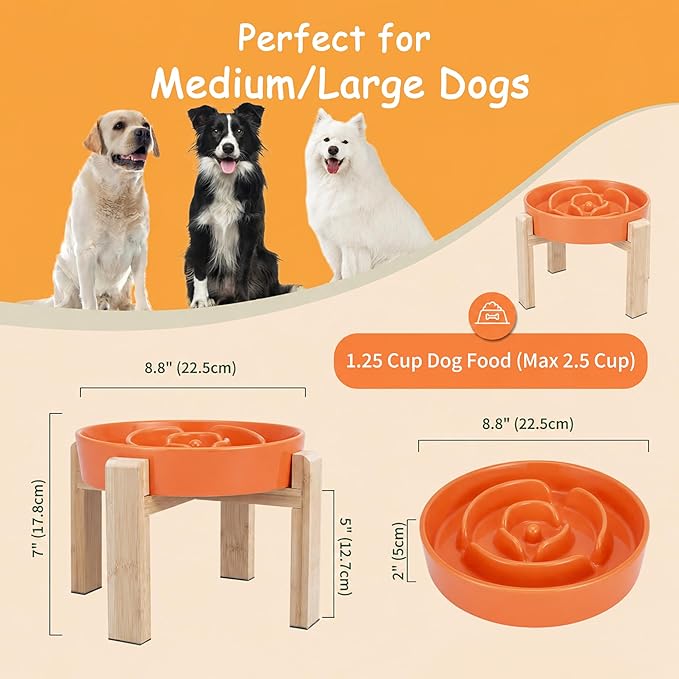 Elevated Slow Feeder Dog Bowl Large Breed, 8.8 Inch Ceramic Slow Eating Bowl - Image 2