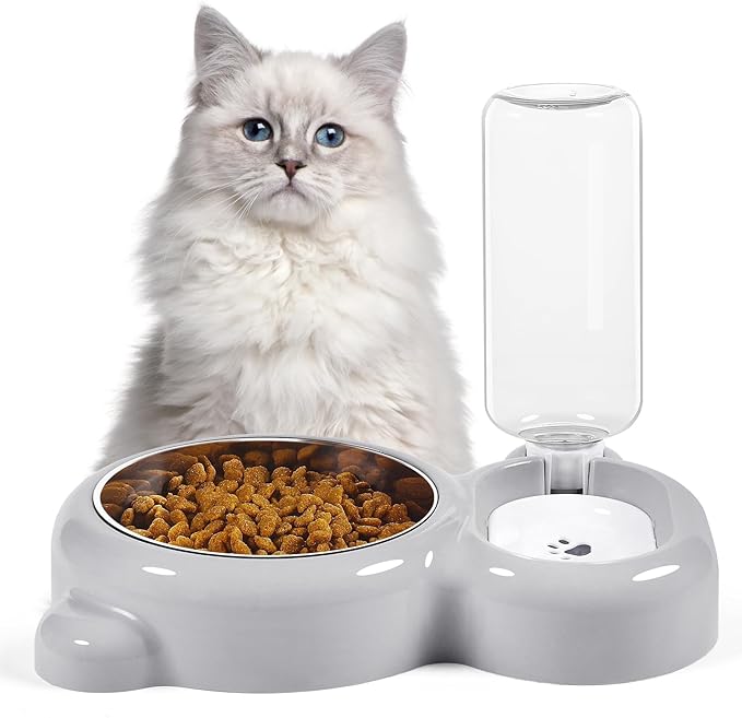 Double Dog Cat Bowls, Cat Food and Water Bowl Set - Image 7
