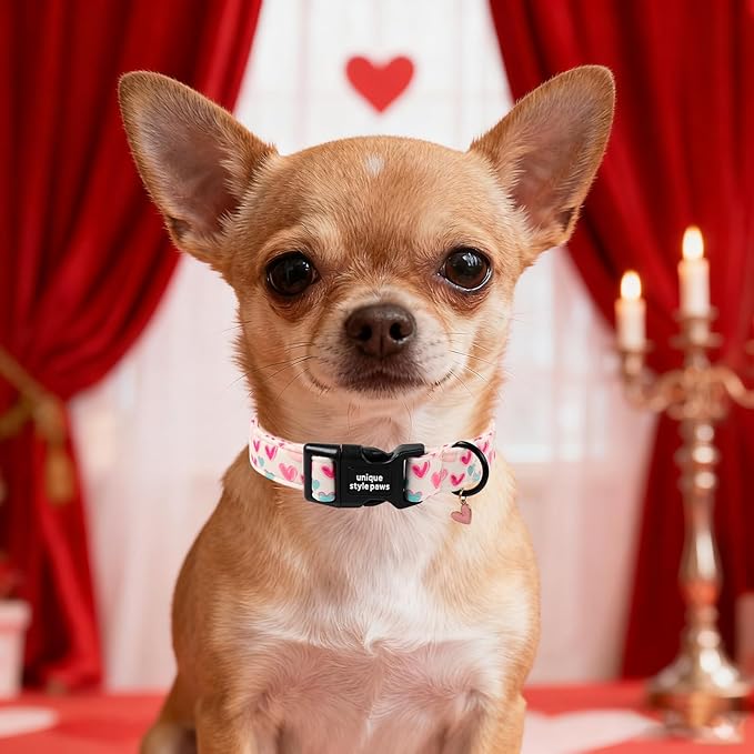Unique Style Paws Valentine Dog Collar Plastic Buckle - Image 4