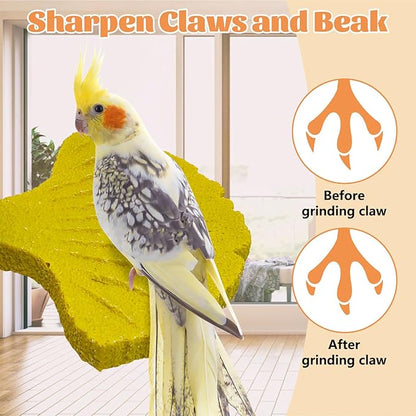 3 Pcs Parrot Perch Resin Bird Beak Grinding Stone Leaf Shape Perch Stand Foot - Image 5