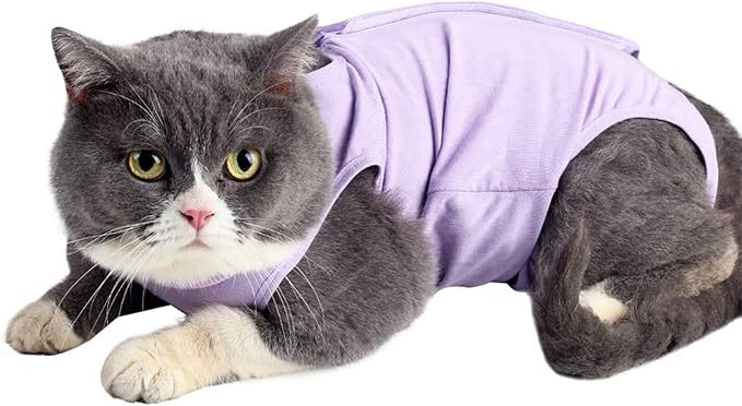 kzrfojy Cat Surgery Recovery Suit Cat Onesie by kzrfojy