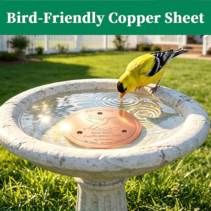 Bird Bath Copper Disk, 0.6mm Reinforced 99.99% Pure Copper Cleaning Disc Plate - Image 7