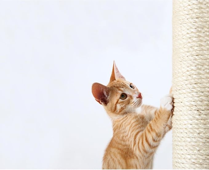 Trixie Replacement Sisal Post for Scratching Posts, Cat Trees and Cat Towers - Image 2