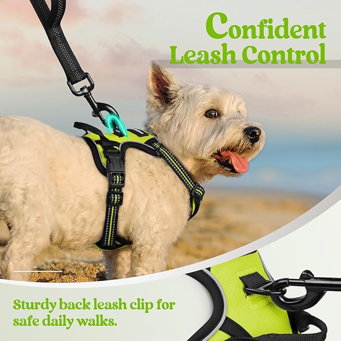 rabbitgoo Dog Harness No Pull - Image 6