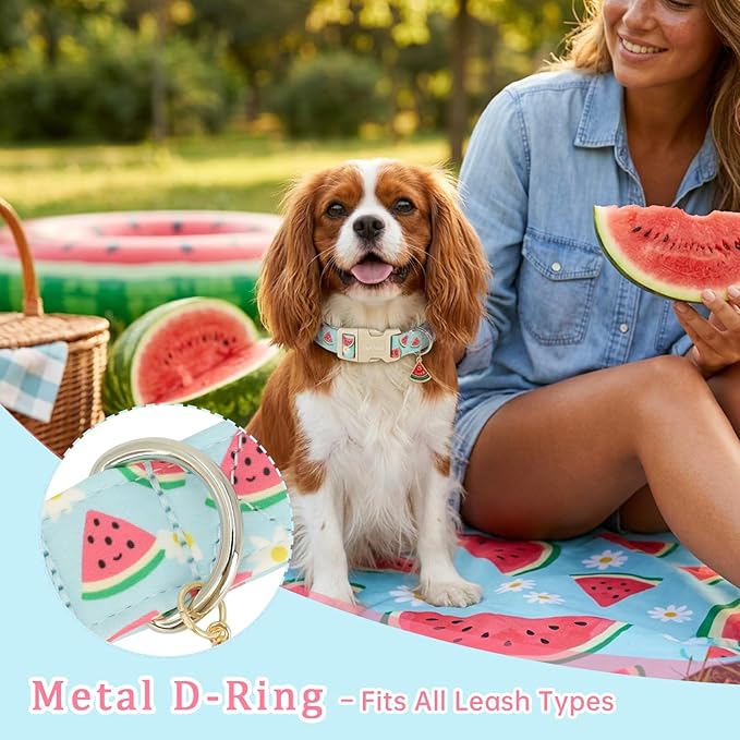 Summer Dog Collar, Cute Light Blue Puppy Collar - Image 4