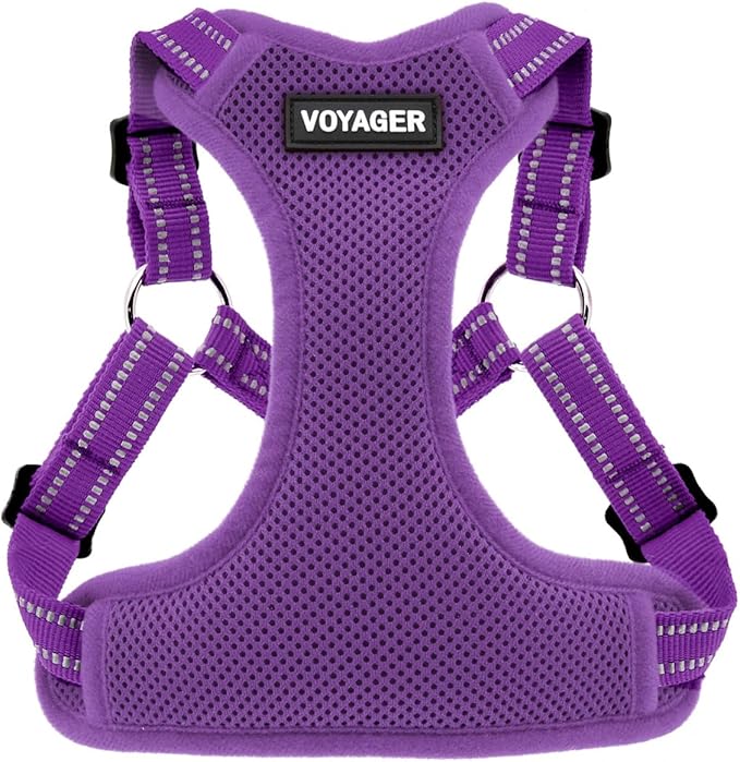 Best Pet Supplies Voyager Adjustable Step-in Flex Breathable Mesh Dog Harness by BestPetSuppliesLLC