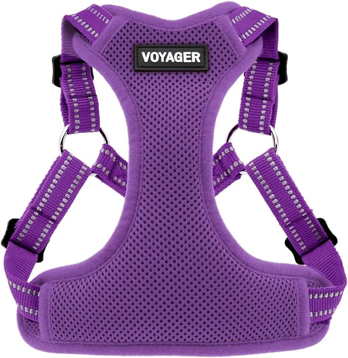 Best Pet Supplies Voyager Adjustable Step-in Flex Breathable Mesh Dog Harness by BestPetSuppliesLLC