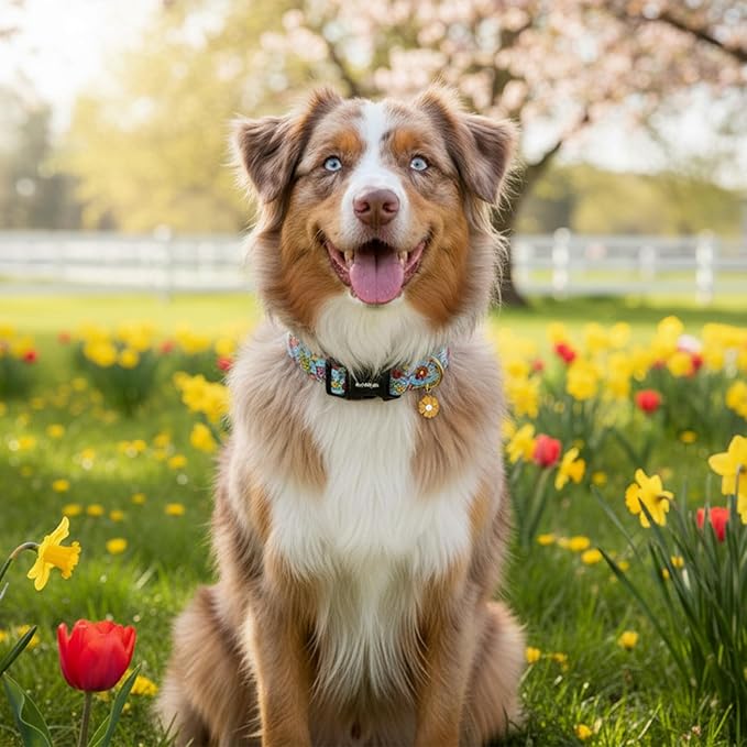 Dog Collar for Small Dogs, Spring &Summer Theme Dog Collars - Image 7