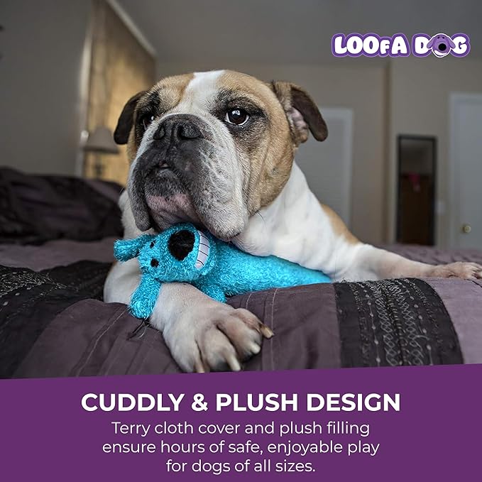 Multipet Loofa Dog Plush Toy w/ Birthday Hat - Image 5