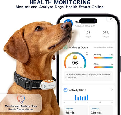 DBDD AI GPS Tracker for Dogs - Image 6