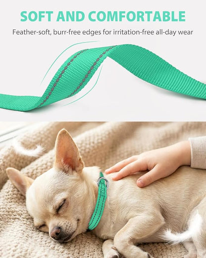 Joytale Puppy Collar, Feather-Light Double-Sided Reflective Nylon Collar - Image 3