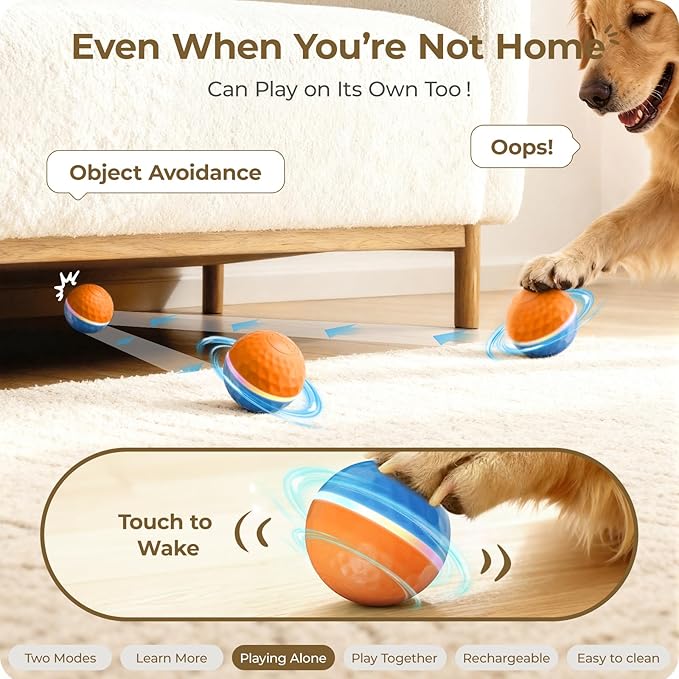 Interactive Dog Toys: Shaky Dog Ball - Image 4