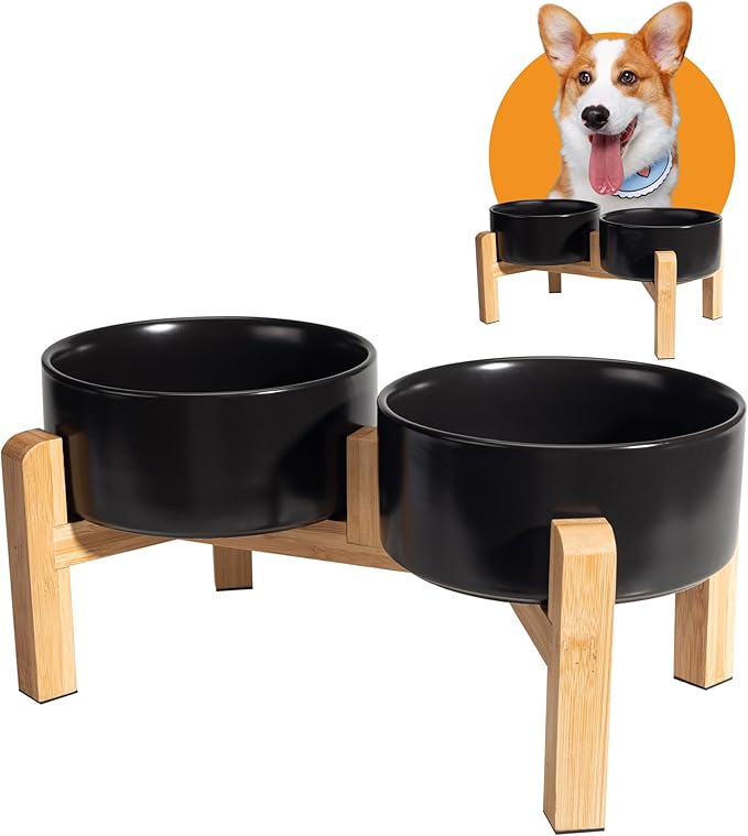 Elevated Ceramic Dog Bowl Set by PTOBER