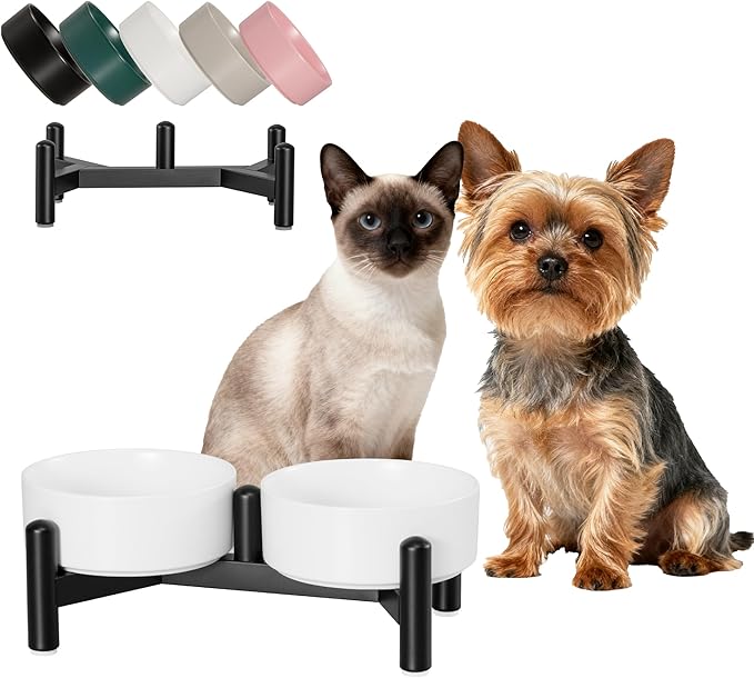 Raised Ceramic Dog Bowl Set by PTOBER