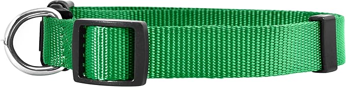 Native Pup Basic Nylon Dog Collar, Adjustable - Image 2