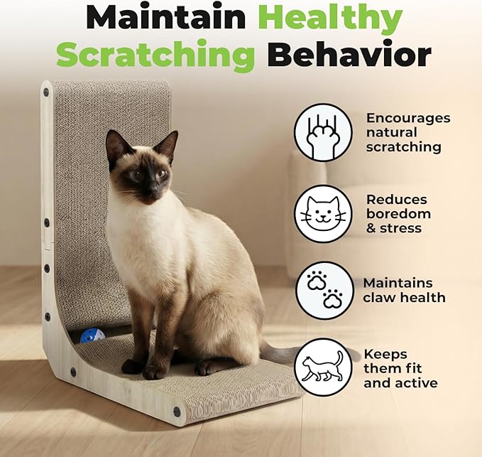 Best Pet Supplies Catify Cat Scratcher, Fun Interactive Scratchers, Claw Safe - Image 6