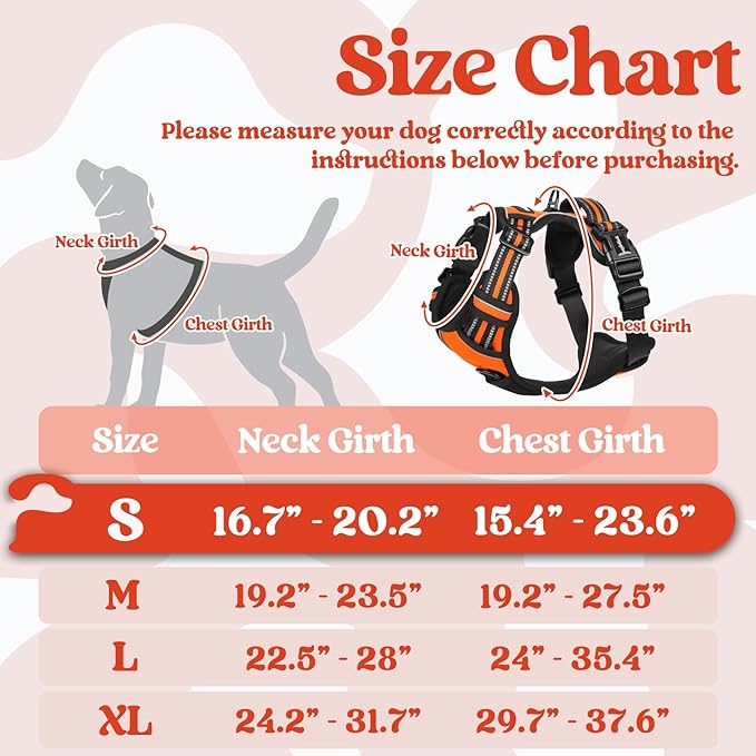 rabbitgoo Dog Harness Small Sized, No Pull Easy On & Off - Image 2