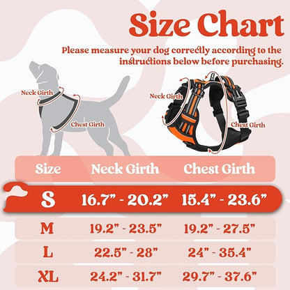 rabbitgoo Dog Harness Small Sized, No Pull Easy On & Off - Image 2