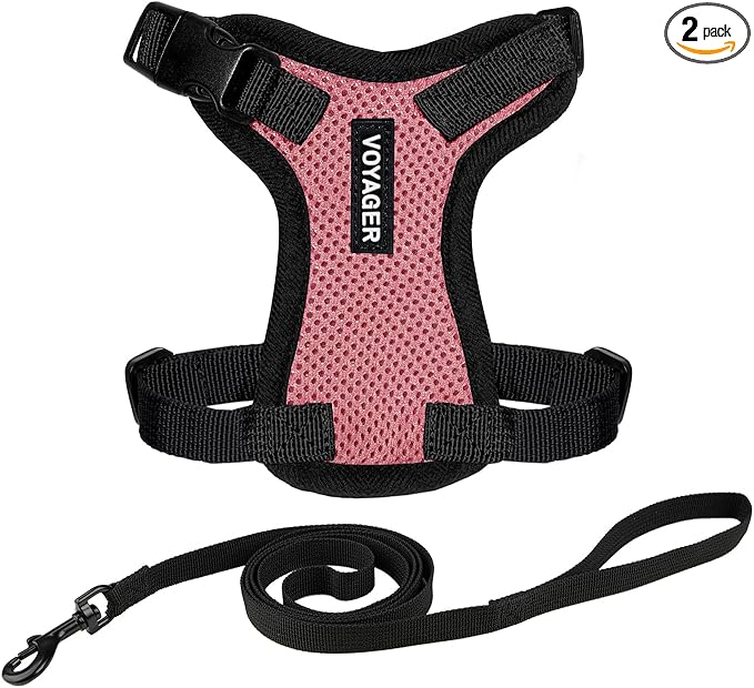 Voyager Escape-Proof Step-in Lock Cat Harness & 5ft Neoprene-Handle Leash Set by BestPetSuppliesLLC