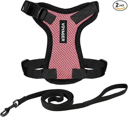 Voyager Escape-Proof Step-in Lock Cat Harness & 5ft Neoprene-Handle Leash Set by BestPetSuppliesLLC