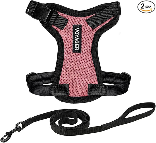 Voyager Escape-Proof Step-in Lock Cat Harness & 5ft Neoprene-Handle Leash Set by BestPetSuppliesLLC