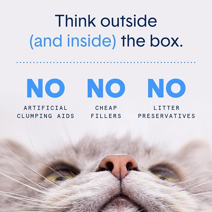 Boxie® Probiotic 40 Day Natural Odor Control Cat Litter, 16lb Clumping Clay - Image 7