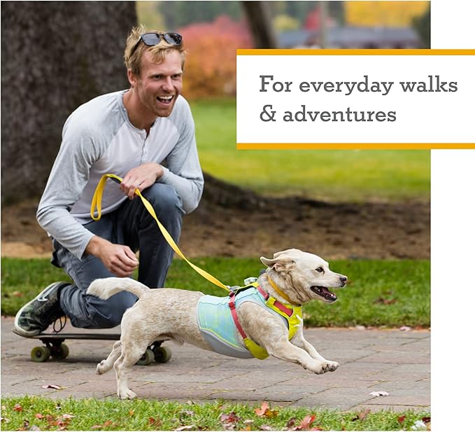 Ruffwear, Hi & Light, Everyday Lightweight Dog Harness, Trail Running, All-Day - Image 6