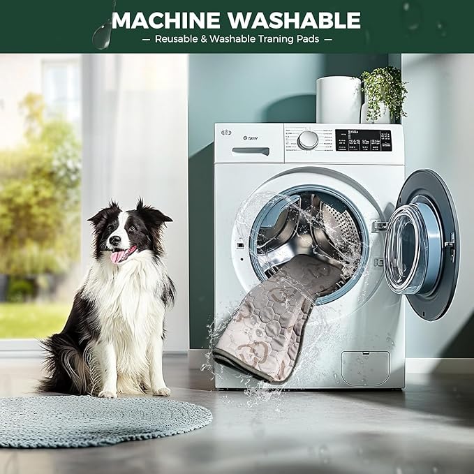 FXW Rollick Unleashed Dog Playpen - Image 2