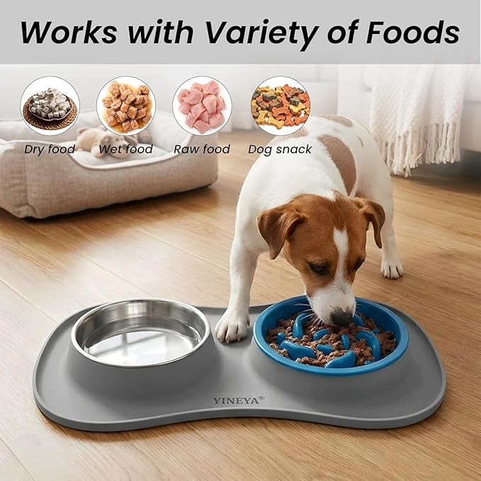 YINEYA 3 in 1 Slow Feeder Dog Bowls & Stainless Steel Food and Water Bowl - Image 6