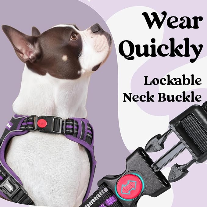 rabbitgoo Dog Harness for Large, No Pull Easy On & Off - Image 2